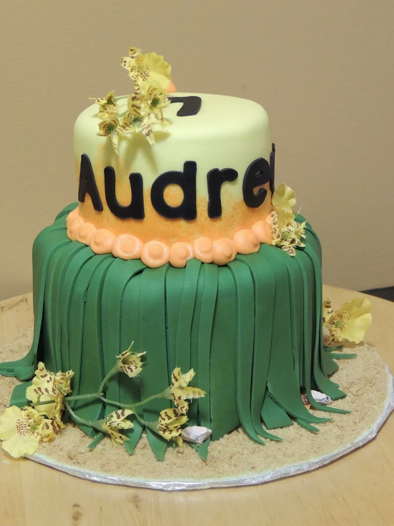 Custom Birthday Cakes for Kids - audrey