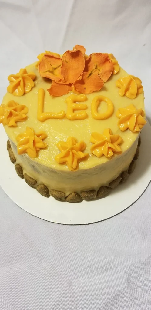 Custom Cakes for Pets and Dogs - dog cake 2