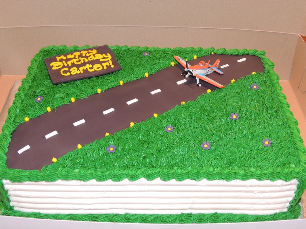 More Custom Cakes - Plane-Sheet Cake_06